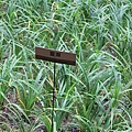 IMG_4743.JPG