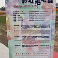 IMG_4515.JPG