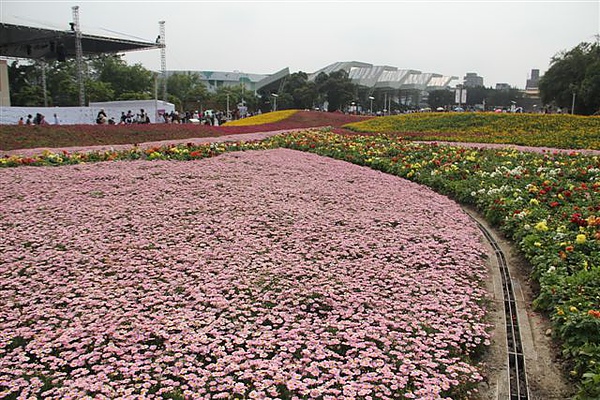 IMG_4682.JPG