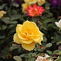 IMG_4473.JPG