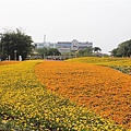 IMG_4687.JPG