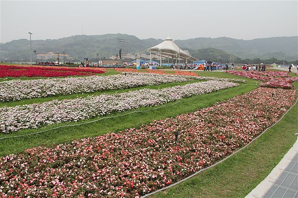 IMG_4613.JPG