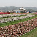 IMG_4613.JPG