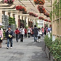 IMG_4435.JPG