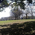 從步道旁看望公園邊緣草坪