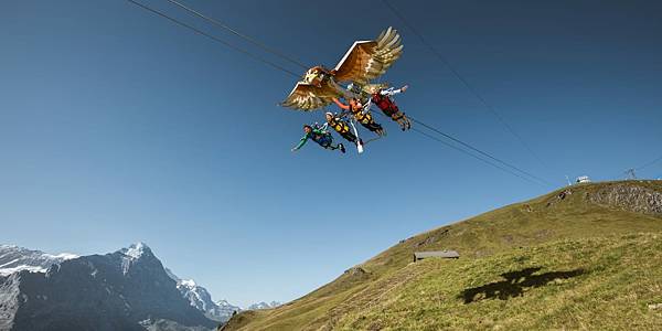 First-Glider-Grindelwald-First