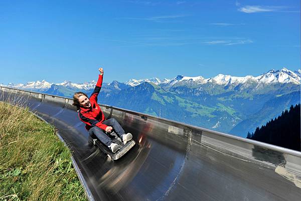 sommer-rodelbahn_mit-aussicht_40893