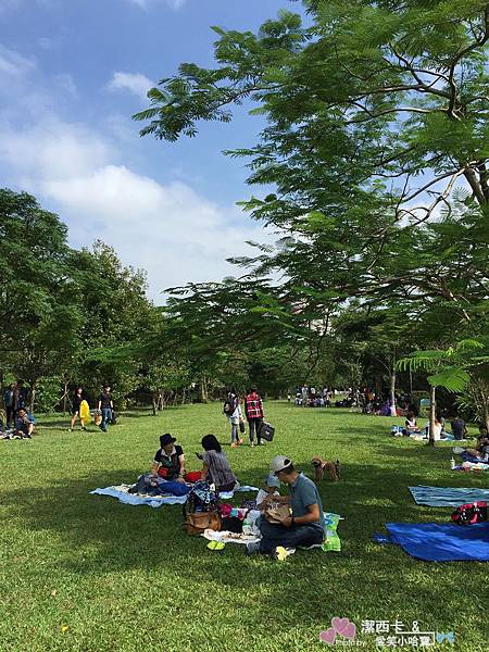 color c'ode凱莉小姐 (13).jpg color c'ode凱莉小姐 (13).jpg