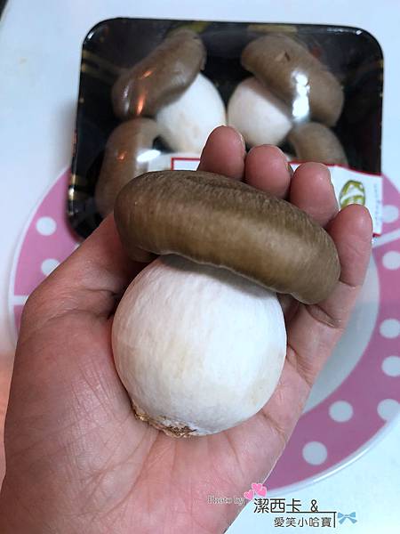 IMG_8047.jpg IMG_8047.jpg