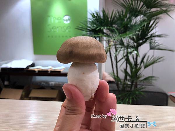 IMG_7961.jpg IMG_7961.jpg