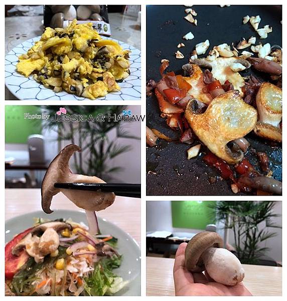 NeoImage_副本.jpg NeoImage_副本.jpg