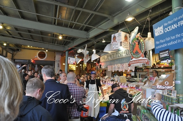 DSC_0009.jpg DSC_0009.jpg