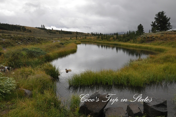 DSC_0534.jpg DSC_0534.jpg