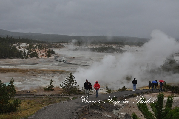 DSC_0573.jpg DSC_0573.jpg