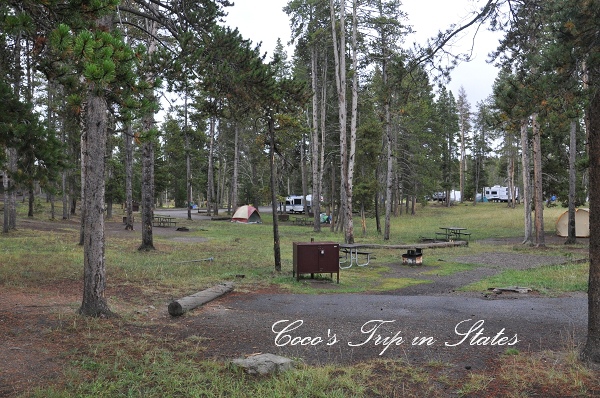 DSC_0564.jpg DSC_0564.jpg