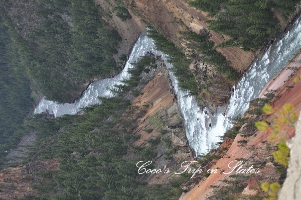 DSC_0705.jpg DSC_0705.jpg