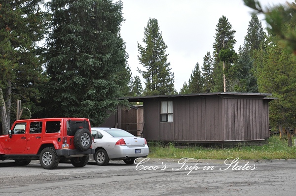 DSC_0837.jpg DSC_0837.jpg