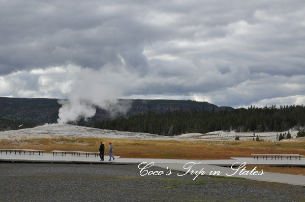 DSC_0724_01.jpg DSC_0724_01.jpg