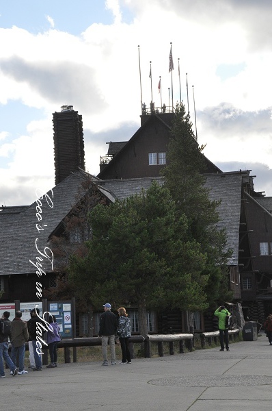 DSC_0827_01.jpg DSC_0827_01.jpg