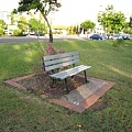 bench