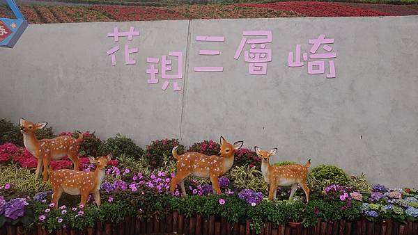 北投三層崎公園半日遊