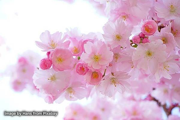 我的921情緣之2—崩盤後的人生，如何重建？