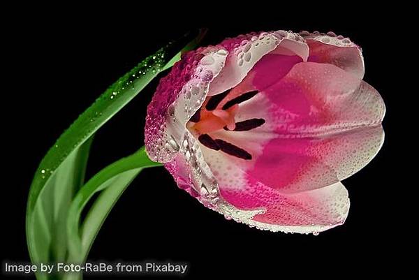 ★《阿姜查的禪修世界：定》—讓煩惱各自回家，心始終是空的