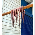愛琴海小島常見的庶民景象-曬章魚