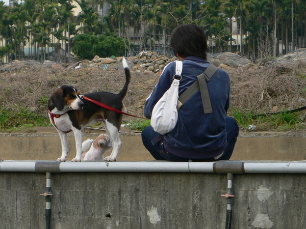 老人與狗