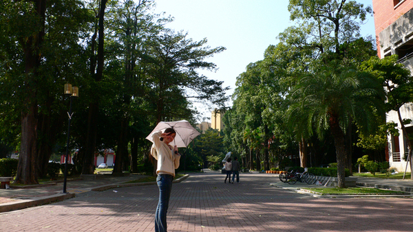 成功大學