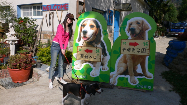 青境花束的兩隻店狗