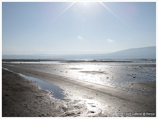 清晨的Lake Nakuru