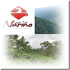 narino3