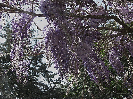 IMG_3548 IMG_3548