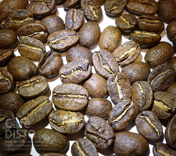 EI Socorro Pacamara-水洗_01