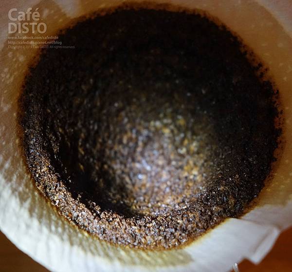 水洗 耶加雪菲 畢洛亞 G1中度烘焙_03