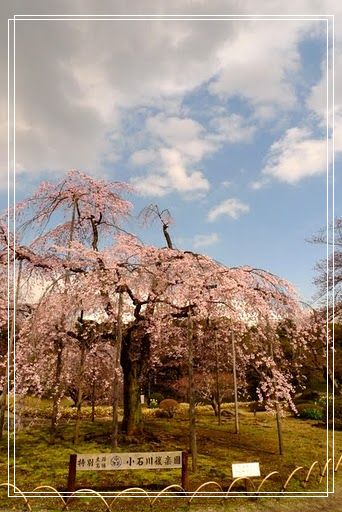 小石川後樂園