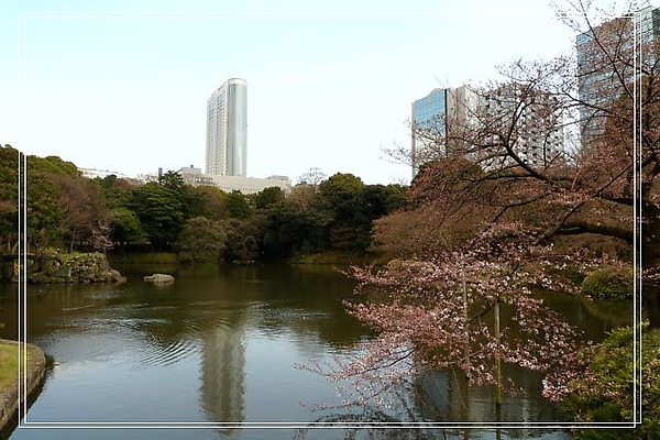 03.26 小石川後樂園