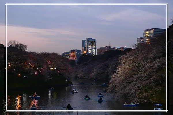 03.31 千鳥ヶ淵