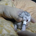 thumb