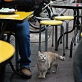 DSC_1532.JPG