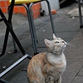 DSC_1567.JPG