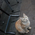 DSC_1568.JPG