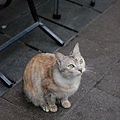 DSC_1574.JPG