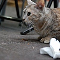 DSC_1615.JPG