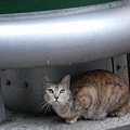 DSC_1638.JPG