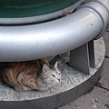 DSC_1688.JPG