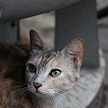 DSC_1693.JPG
