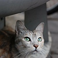 DSC_1695.JPG