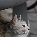DSC_1696.JPG